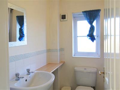 Picture 7